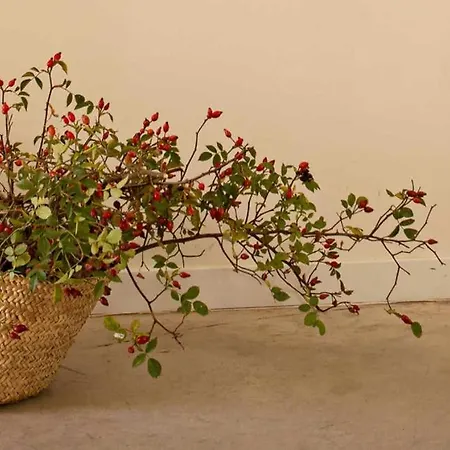 샬레 El Balcon De Tenzuela 세고비아