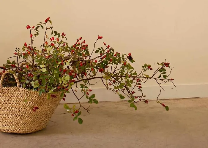 شاليه El Balcon De Tenzuela شقوبية